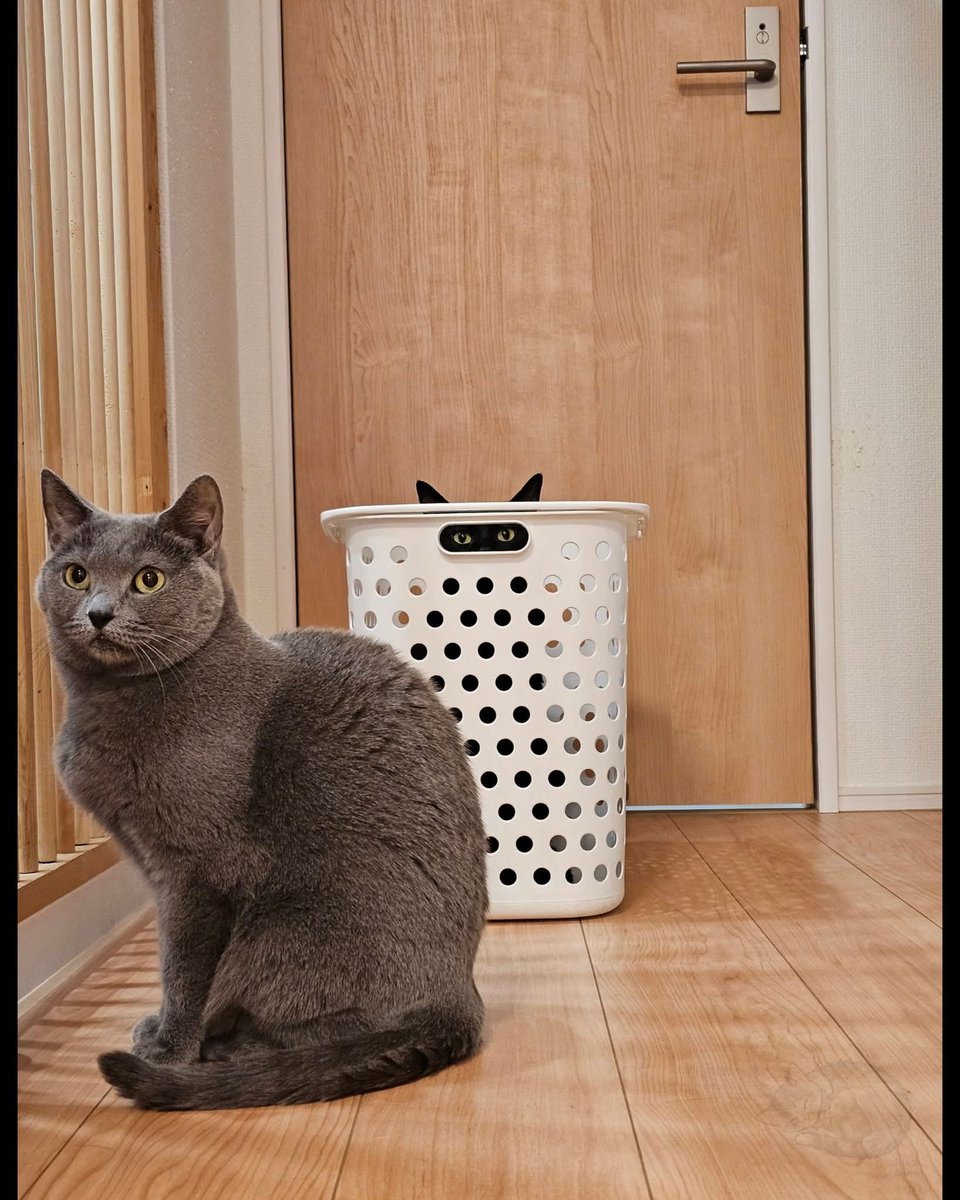 Ulrike Lebt tweet media