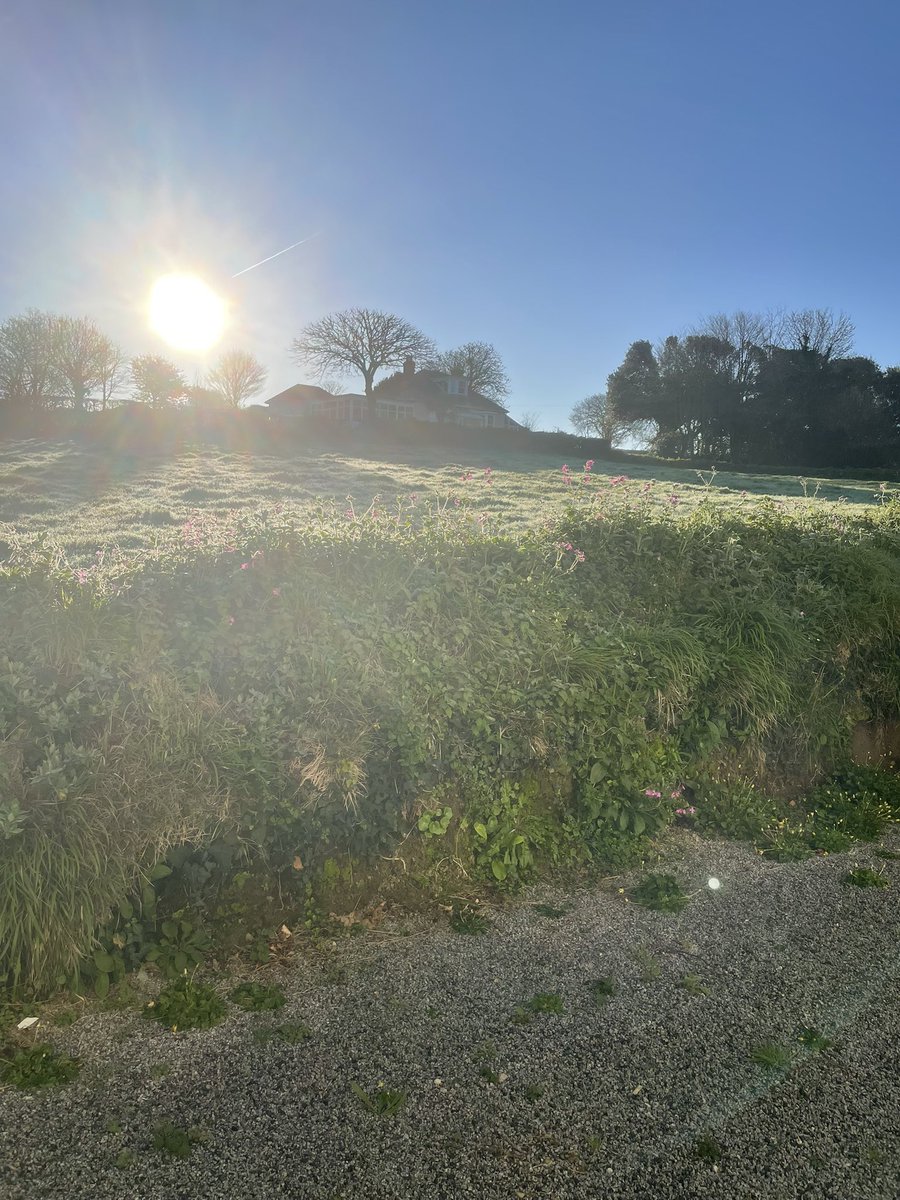 Gary Rich tweet media