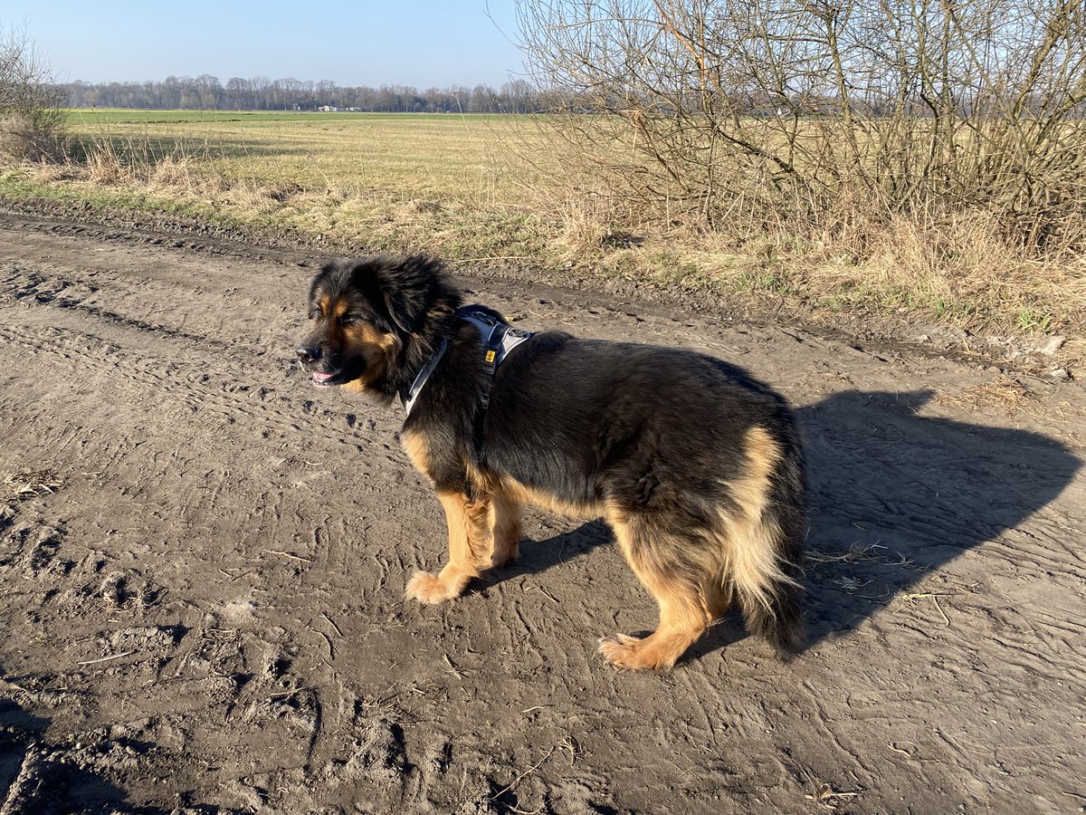 Ewa Winiara⚡🇪🇺🏳🌈 #Siódemka tweet media