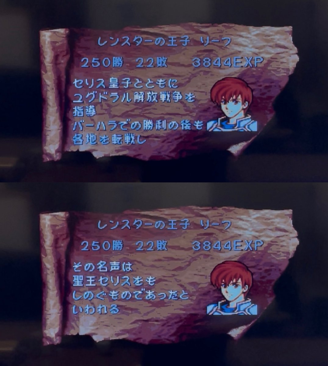 データムゴリスター tweet media