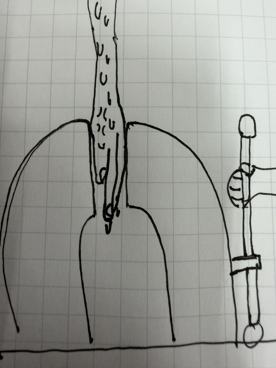 スリムクラブ真栄田 tweet media