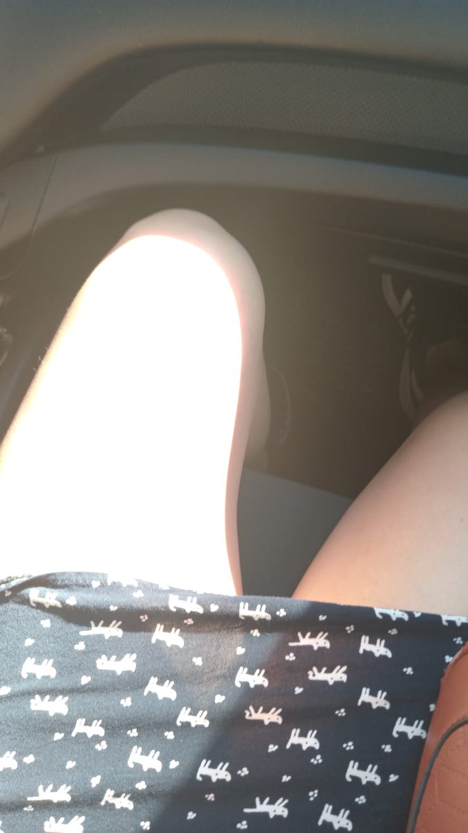 elisapetermty tweet media