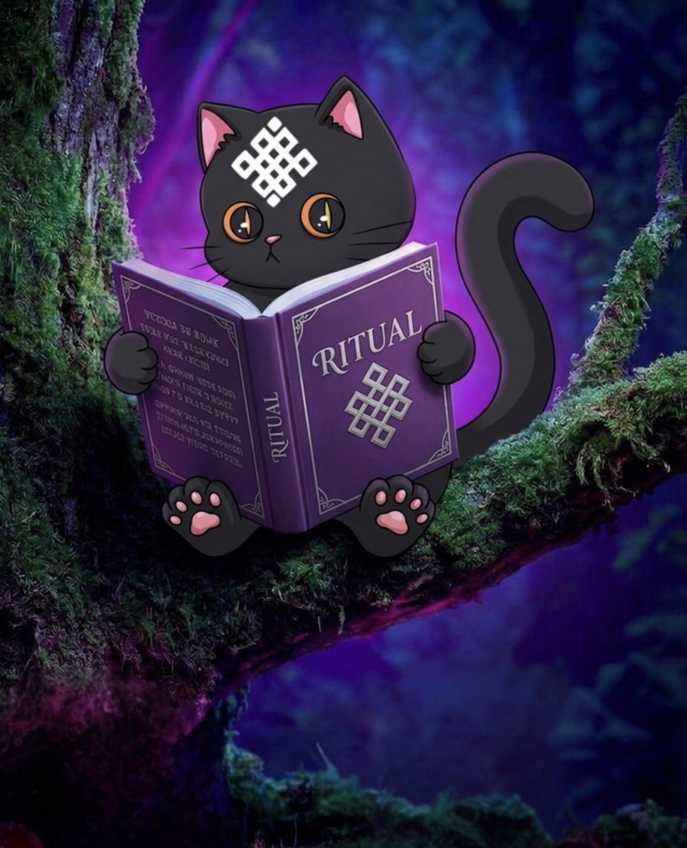 Riyade🎴| KHZ 🃏 (❖,❖) tweet media