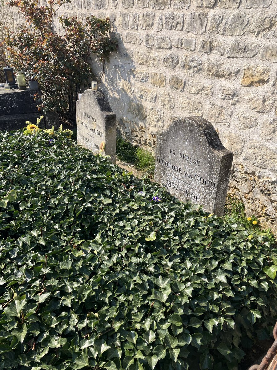 Beautiful Garden tweet media