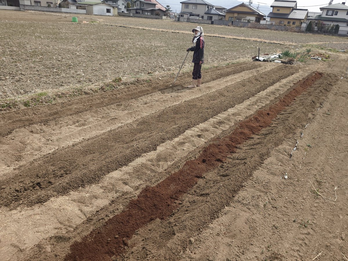 すぱいらる tweet media