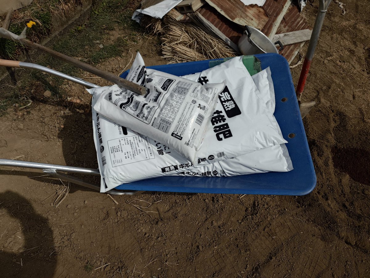 すぱいらる tweet media