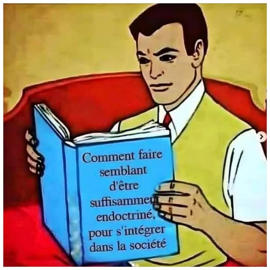 Lili Adresan🌺 tweet media