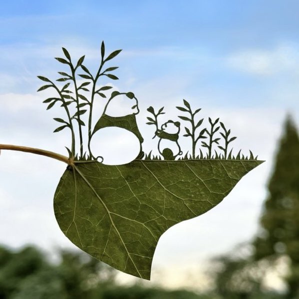 Rose🌸 tweet media