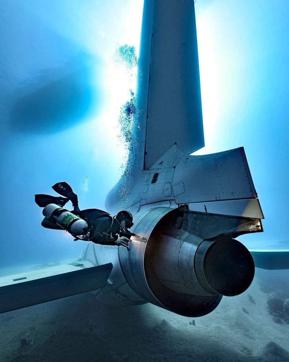 Batmax ⭐⭐ tweet media