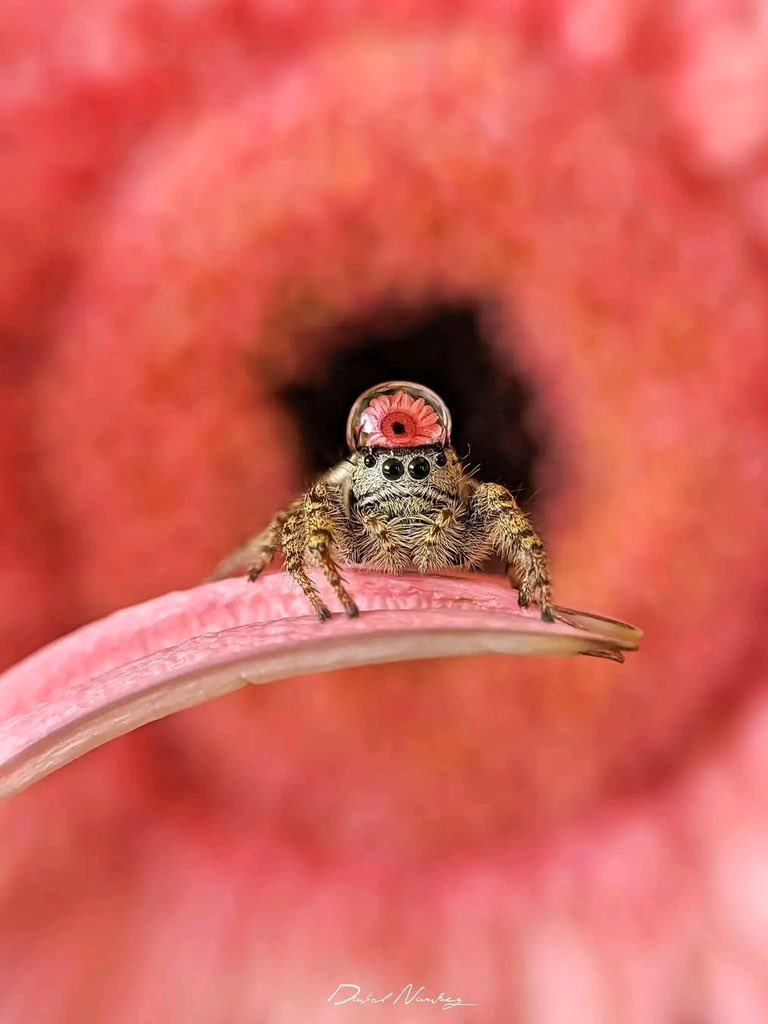 Earth’s Beauty tweet media