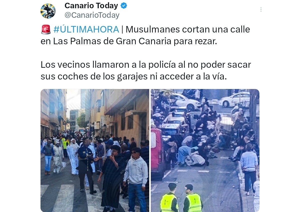 No respetan al ciudadano, y se comportan incivicamente.
Y tú te tienes que callar para que no te llamen racista.