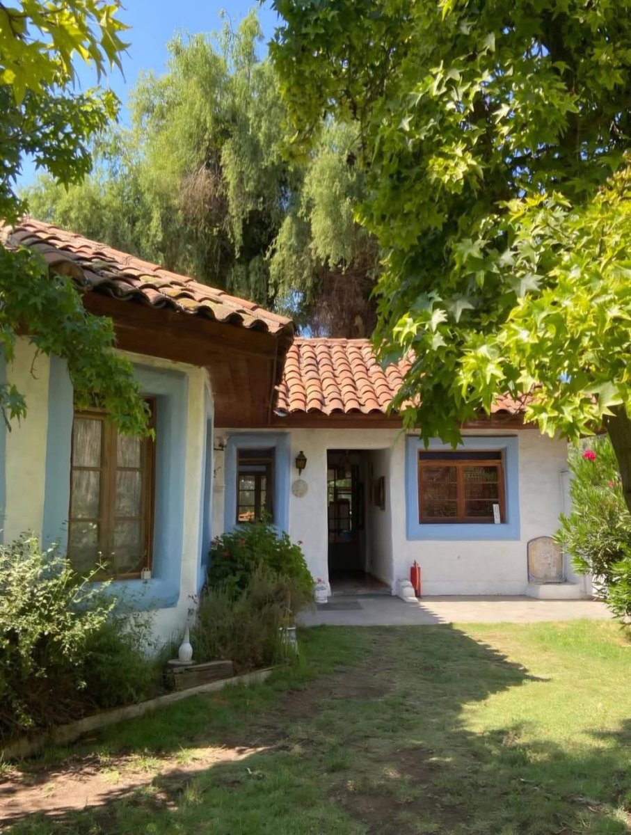 şöyle bir sakinlik tweet media