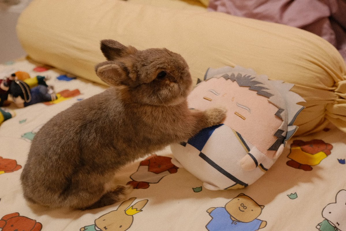 ALLY 🦊 tweet media