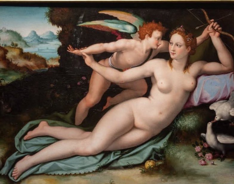 Anna Gener tweet media