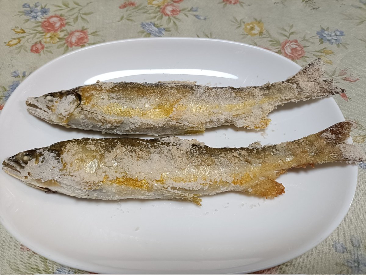 焼き鮭 tweet media