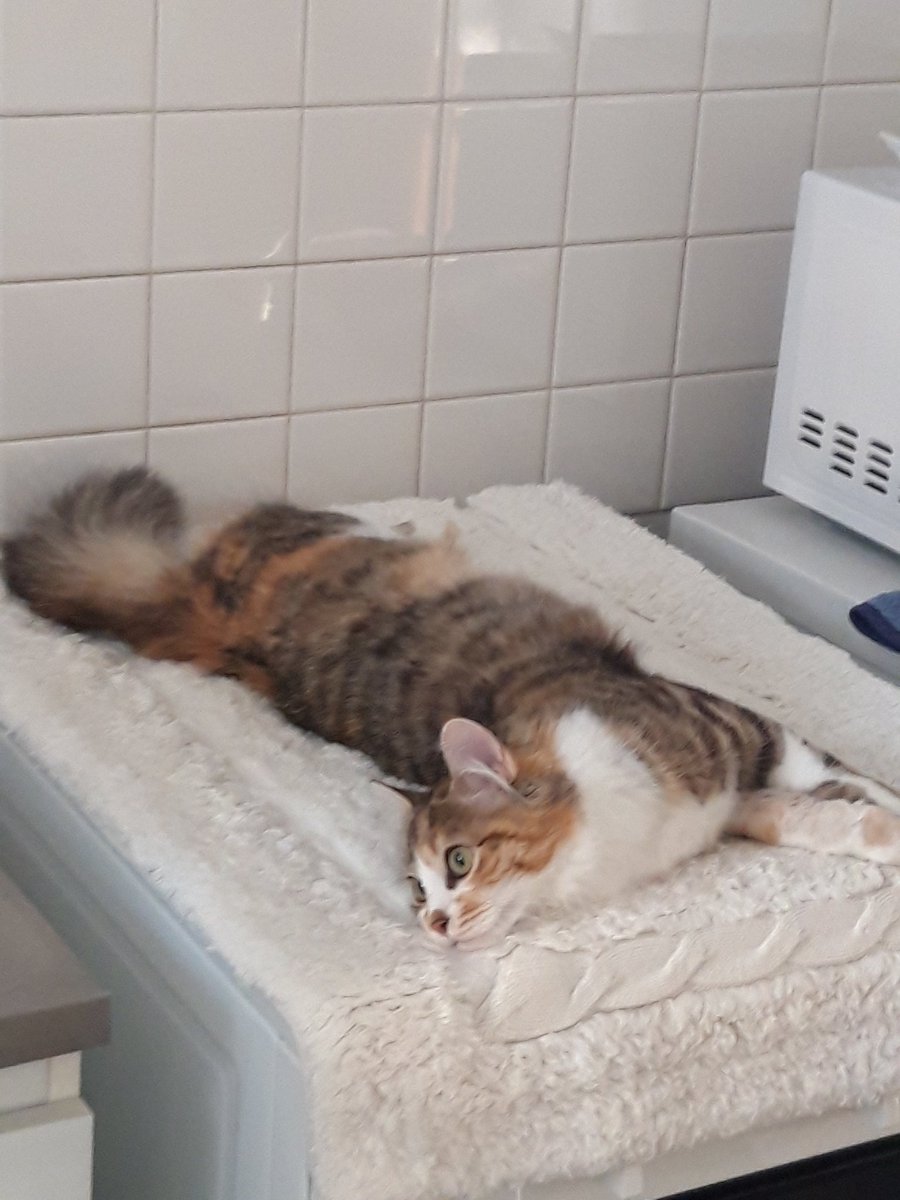 Valmuh / Final tweet media