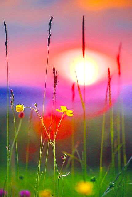 PrincJan tweet media