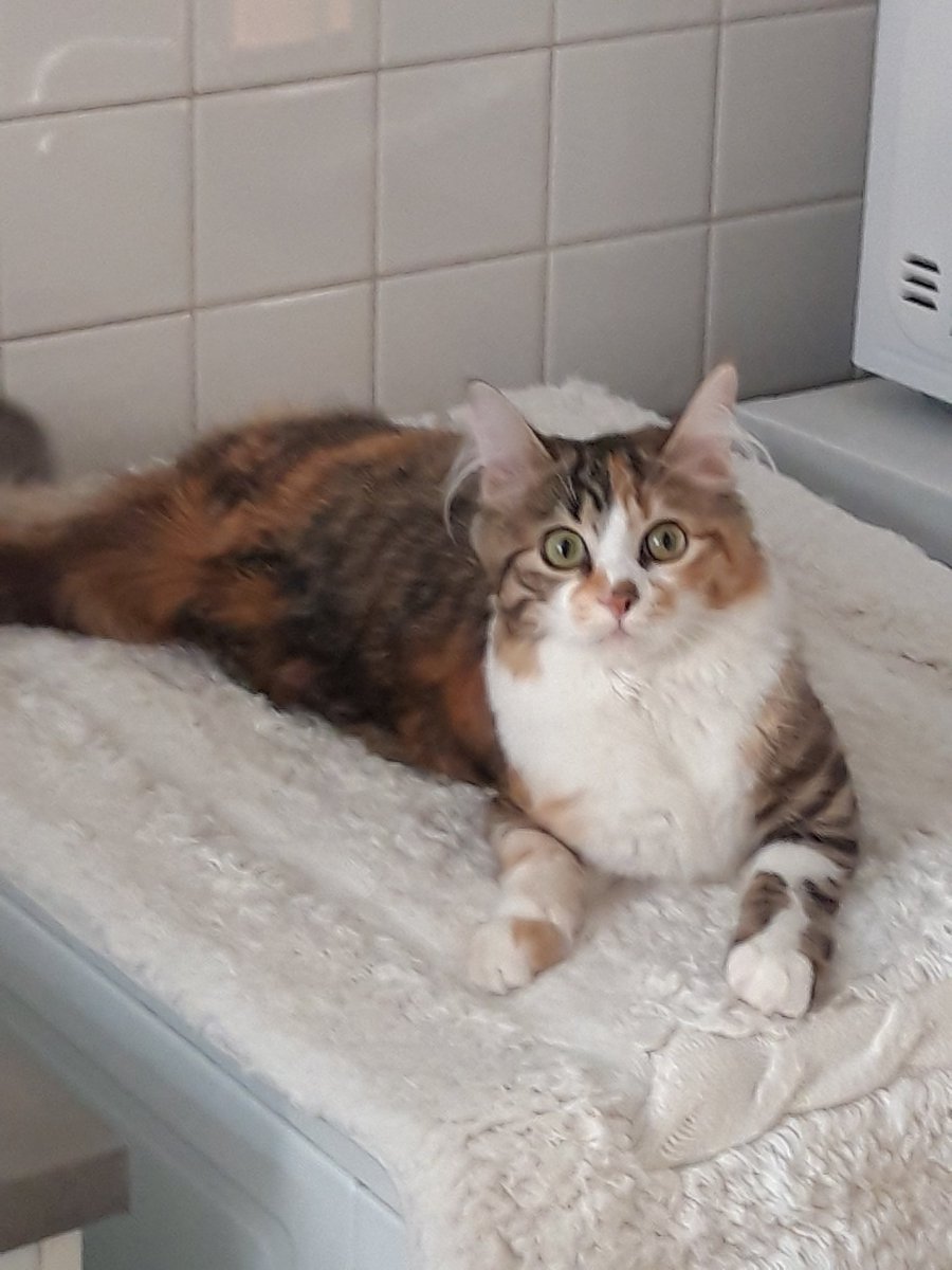 Valmuh / Final tweet media