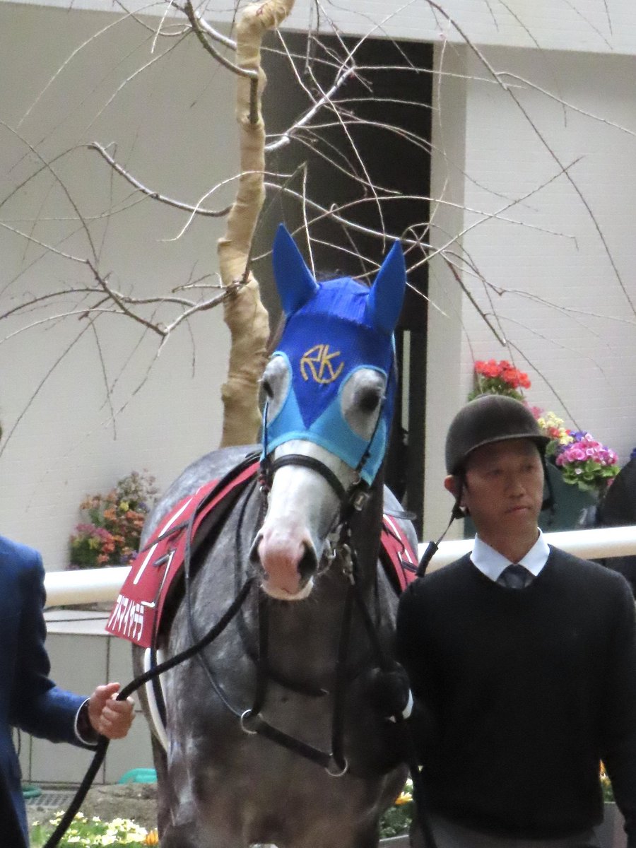 𝑹𝒊𝒏𝒊 • リニ 🐰🍪🐾 tweet media