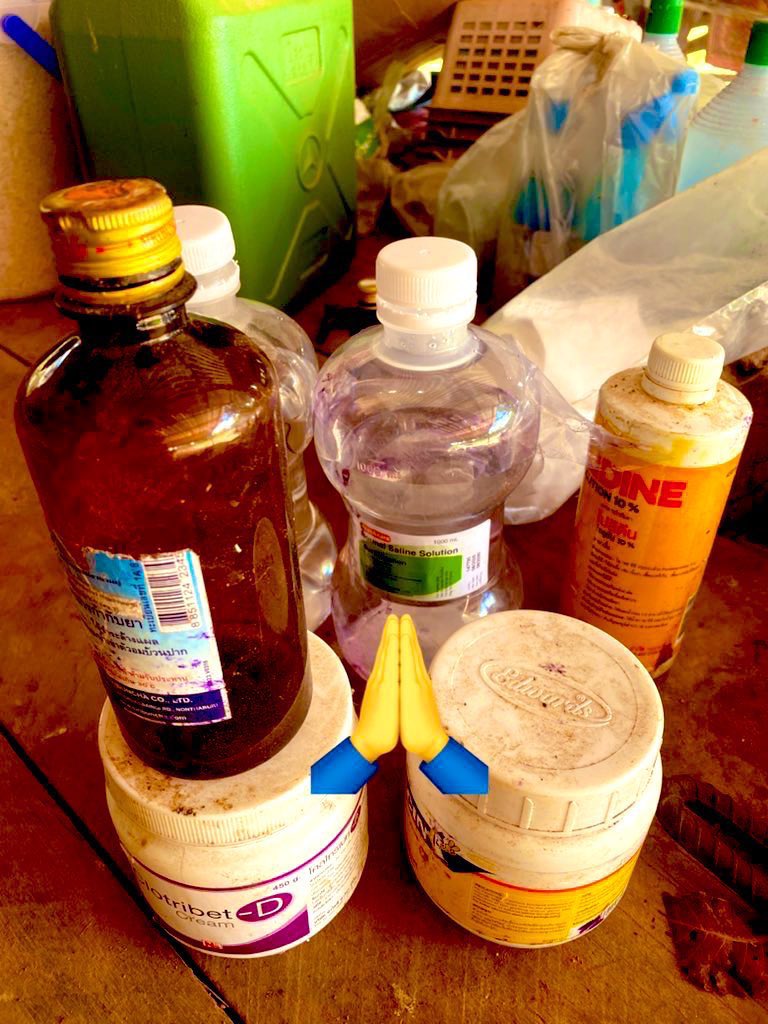 น้องช้างFamily🐘🐘🐘 tweet media