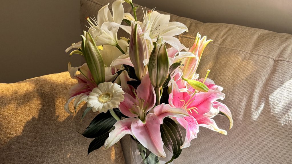 ‎‏ɯǝǝɥs tweet media