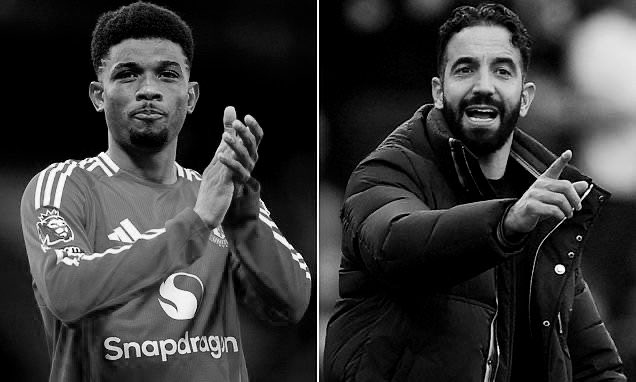 Noush 🧠 | MUFC tweet media