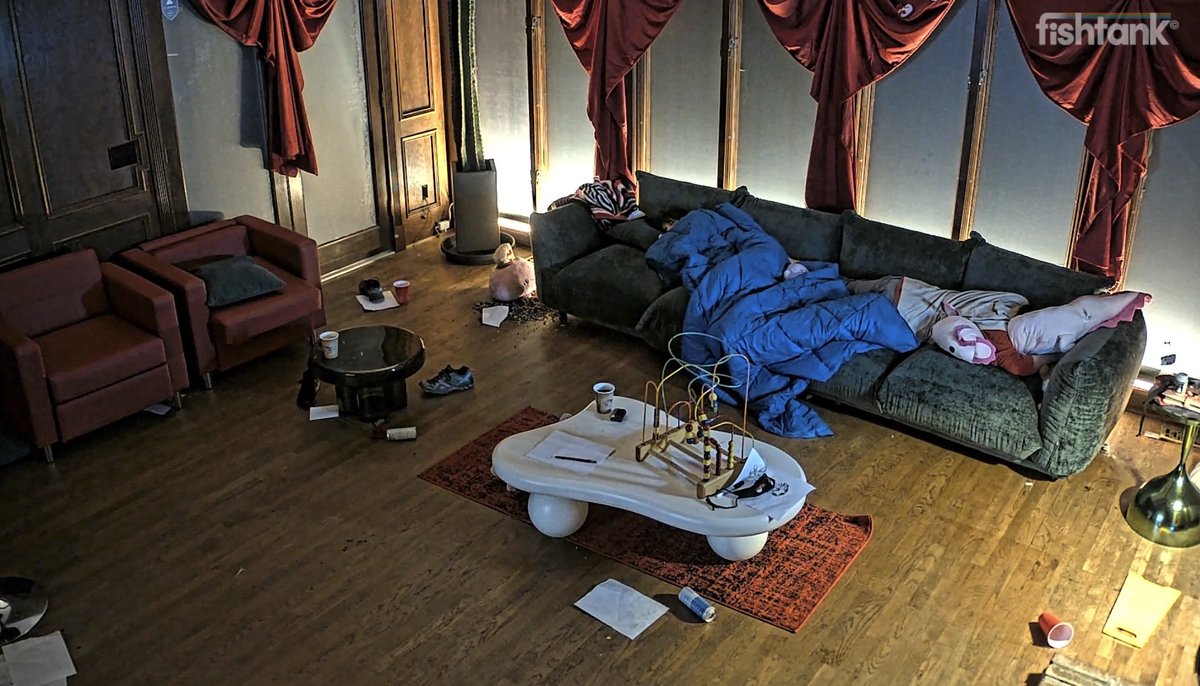 Nora Void tweet media