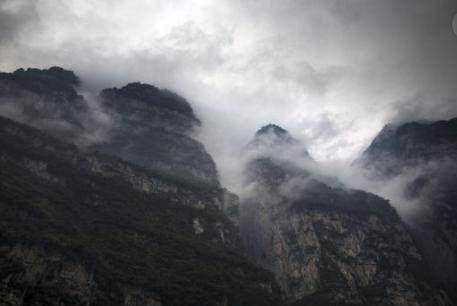 сон моря. tweet media