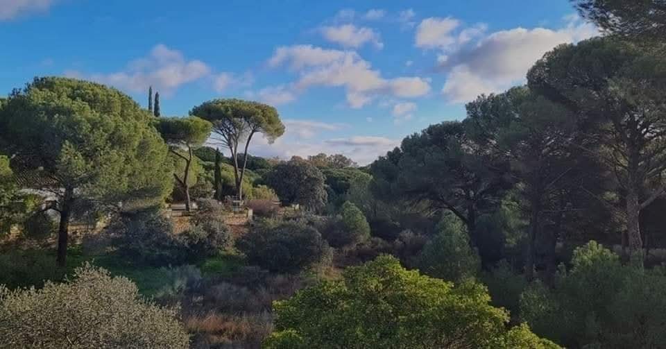 Andújar Exprés tweet media