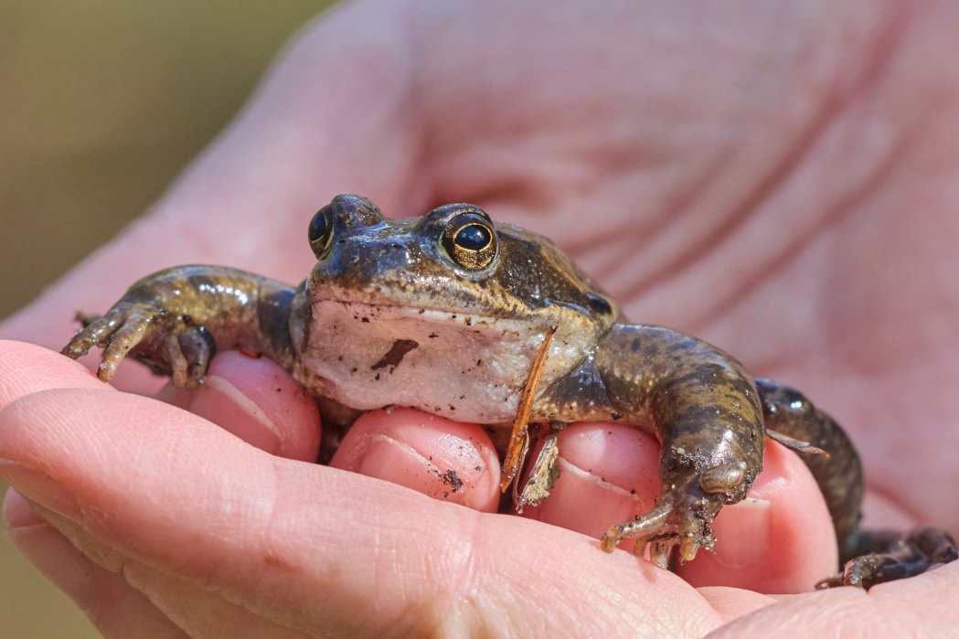 Quint&Quer tweet media