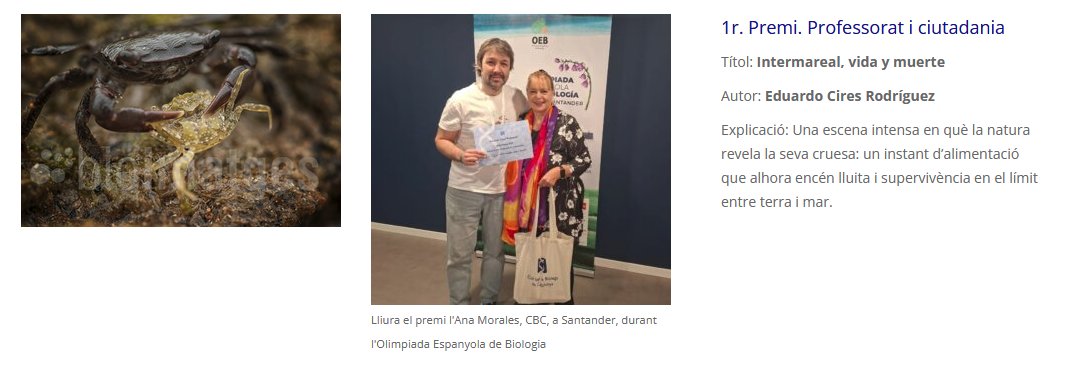 EduardoCires's tweet photo. Moltes gràcies pel reconeixement i visca la Biologia!
@BiolegsCAT https://t.co/pVC6F2kAIO