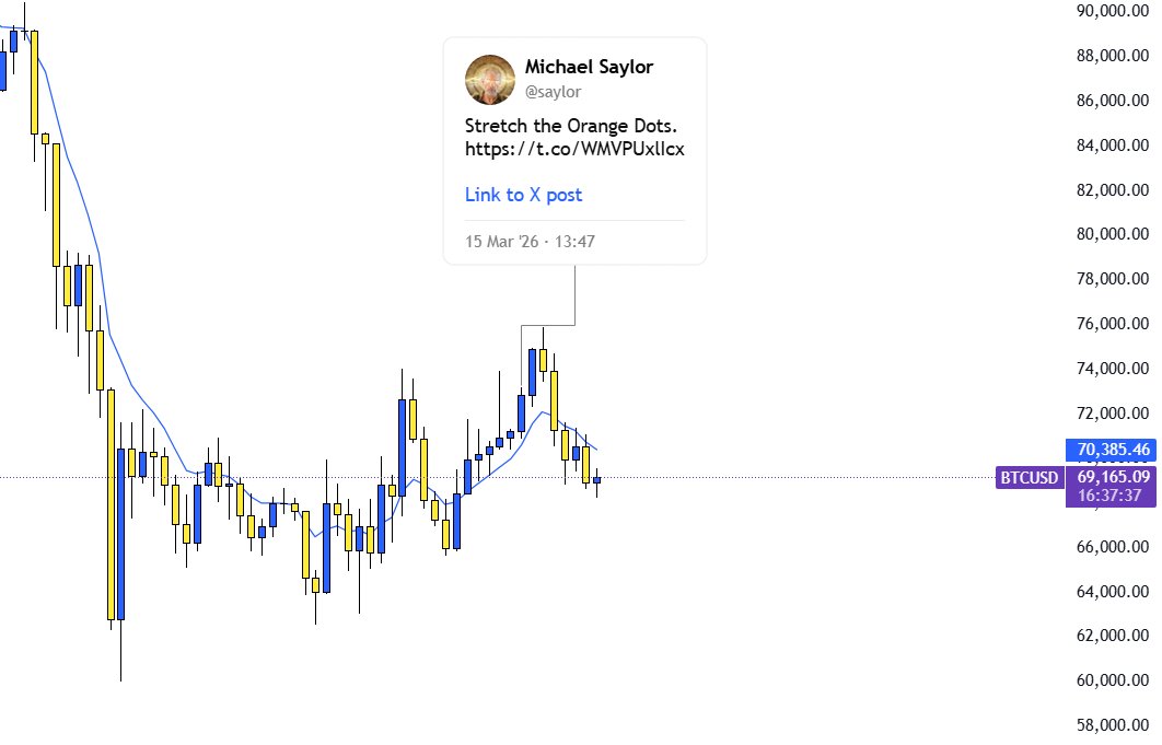 Dex 🕸️ tweet media