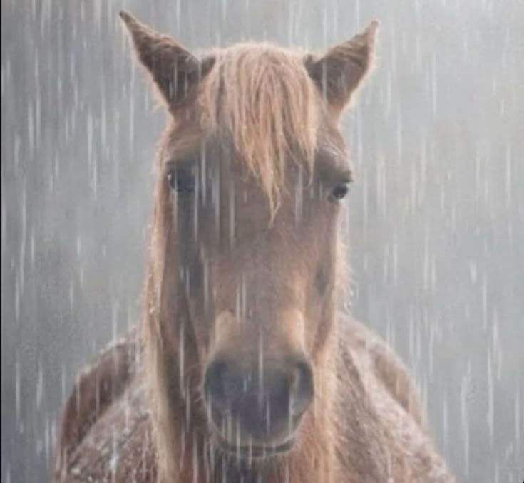 xaxand_'s tweet image. How i feel rn after zam's stream #decayedtwt