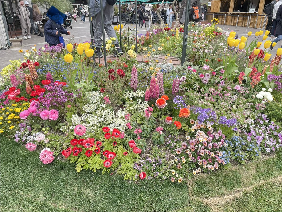 usagi_usagi_'s tweet photo. どこかに行くとロープウェイ乗りがち🪻🌸🌷 https://t.co/oa5gzTjZUv
