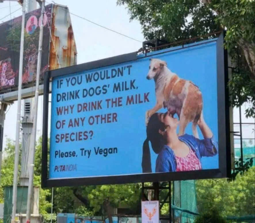 Images That Make You Feel Pain tweet media