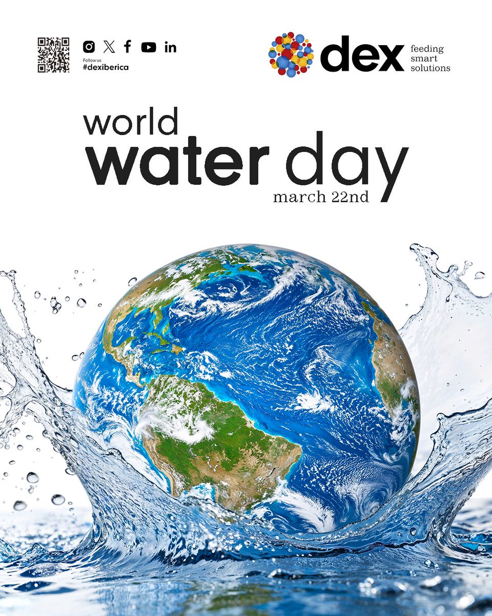 💧 On World Water Day, we highlight a resource that is essential for life and key to building a more sustainable world.

Because caring for water means caring for the future.

#dexiberica #dexteam #creciendojuntos #worldwaterday