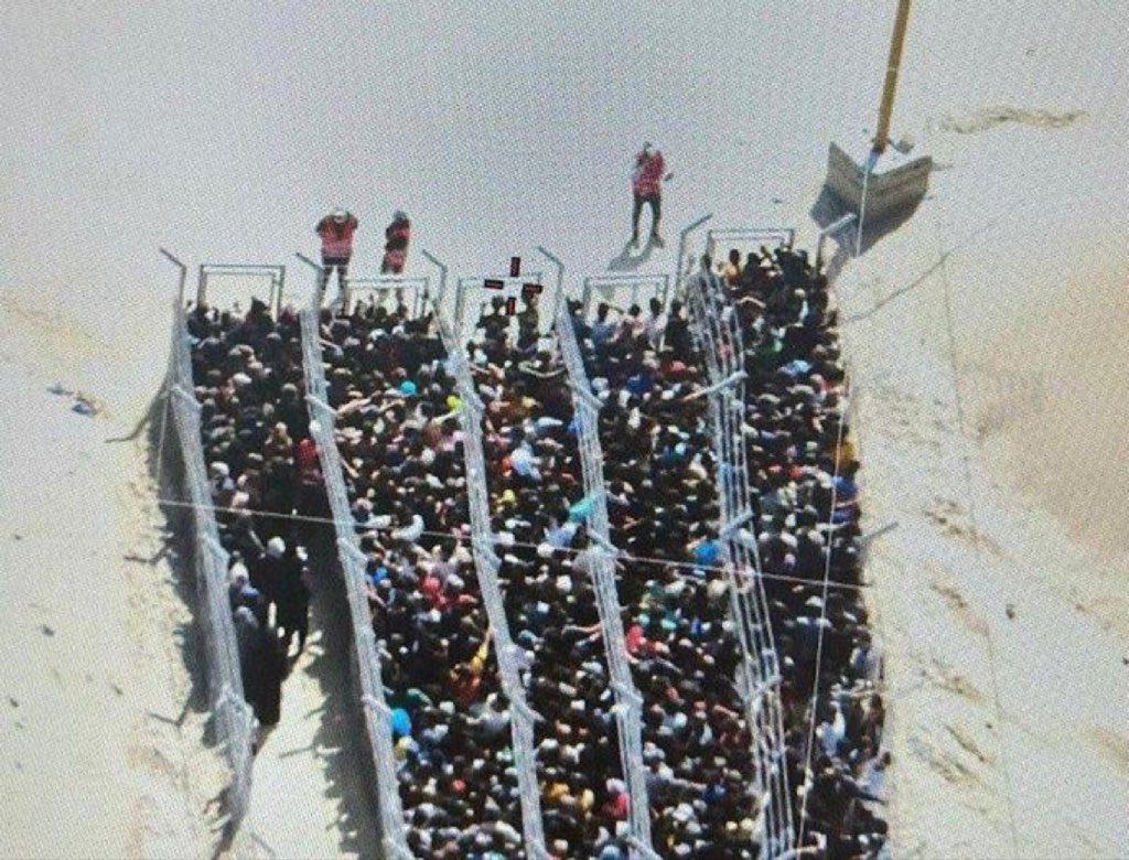 Save Gaza tweet media