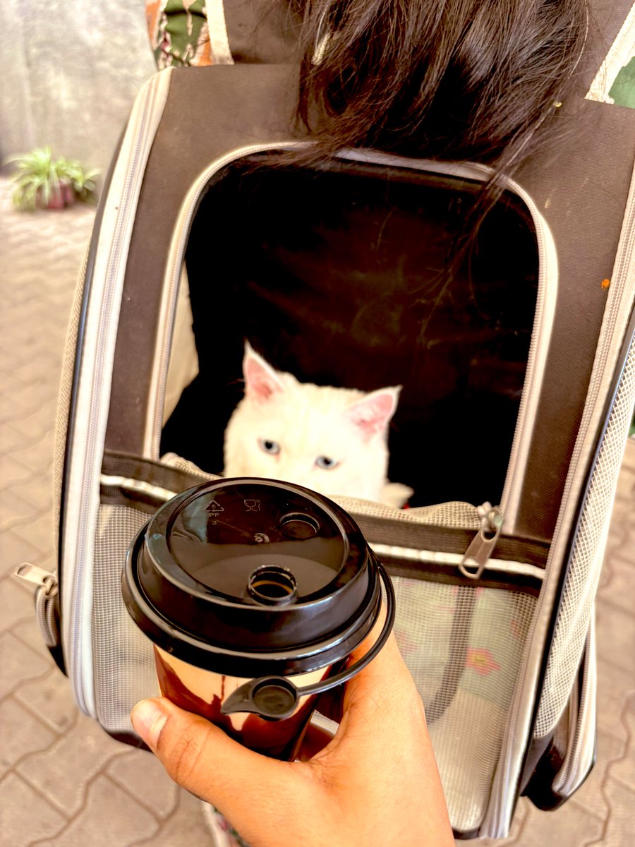 Shalini Singh tweet media