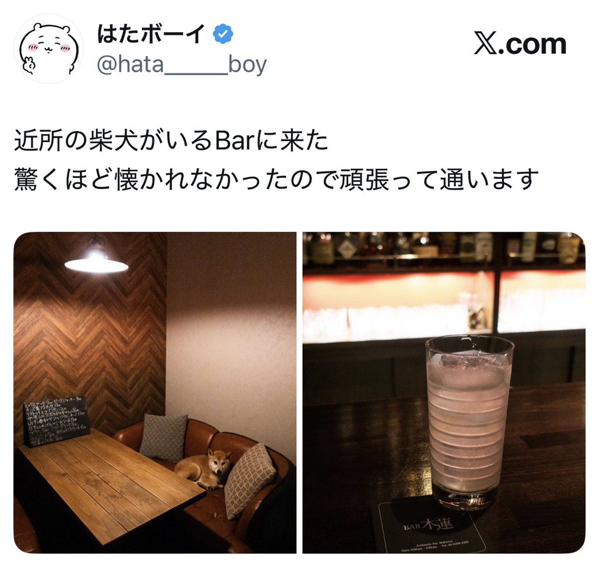 はたボーイ tweet media