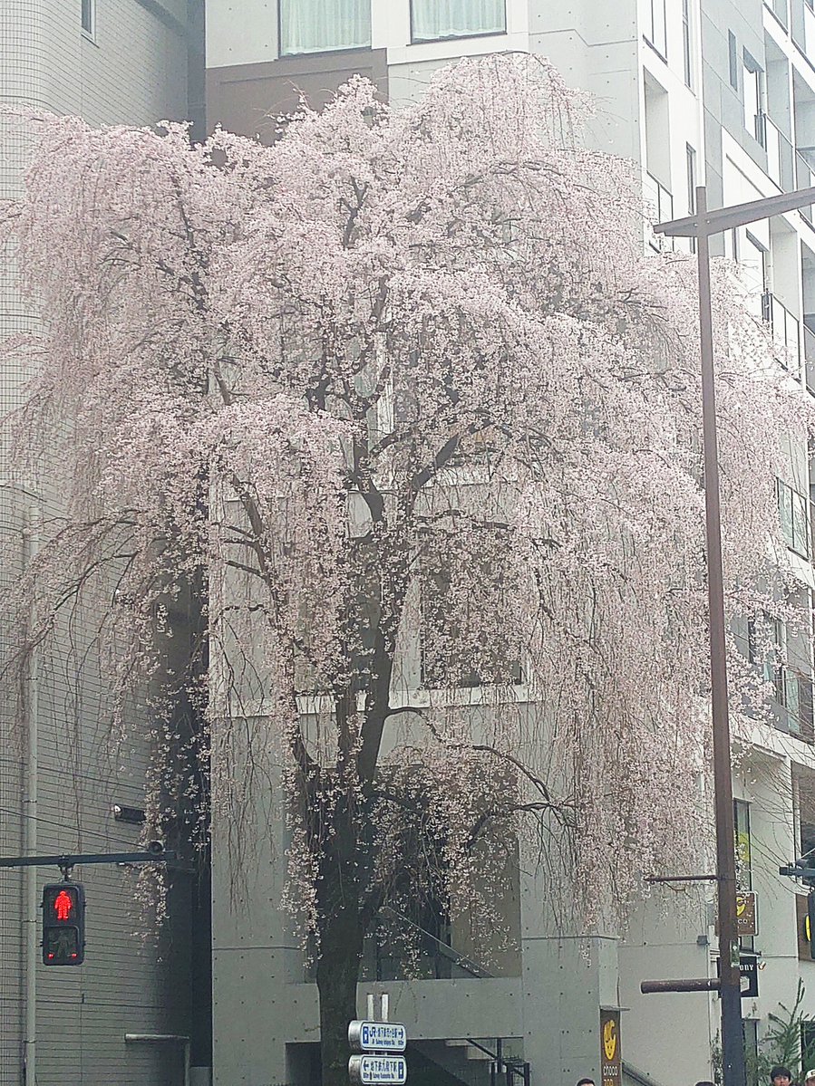 JAMおっさん tweet media