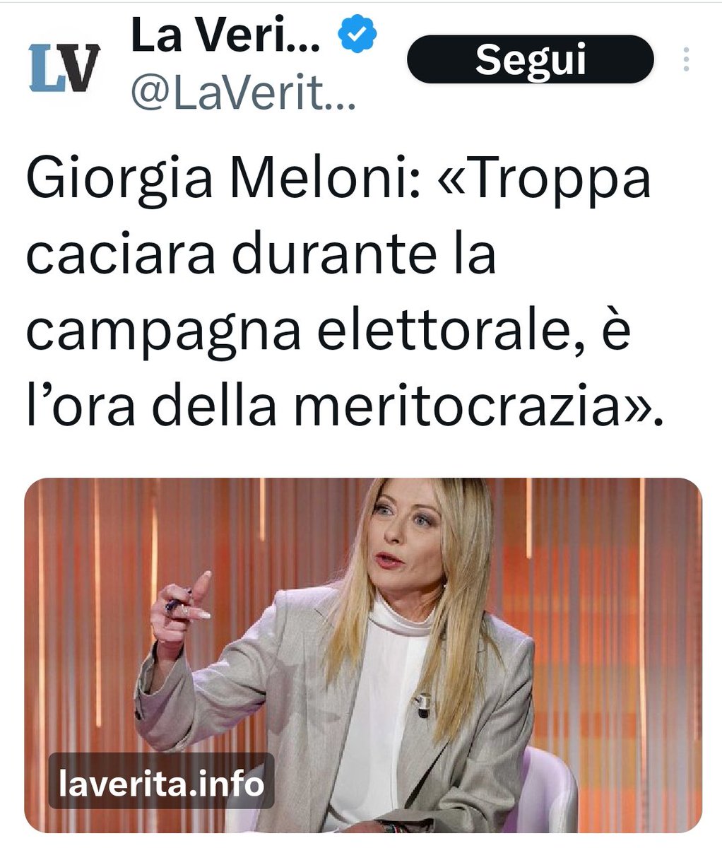 Lucillola tweet media
