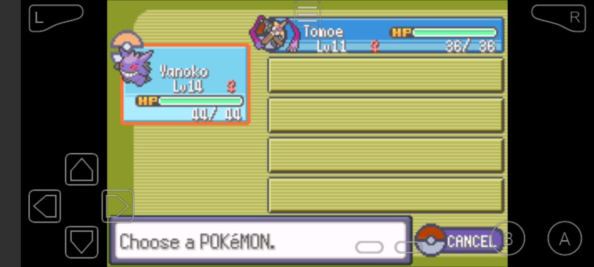 Lightning 2195 tweet media