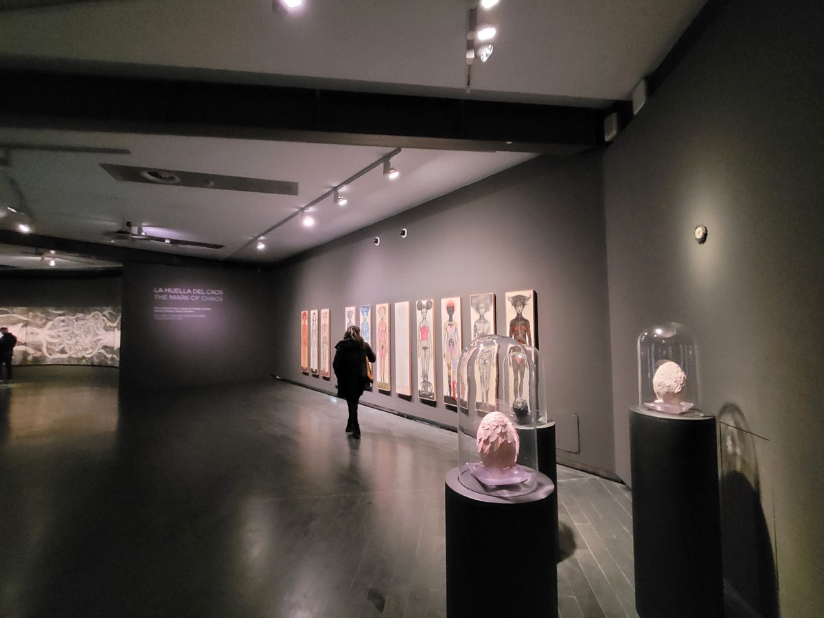 CuriosidadNatural tweet media