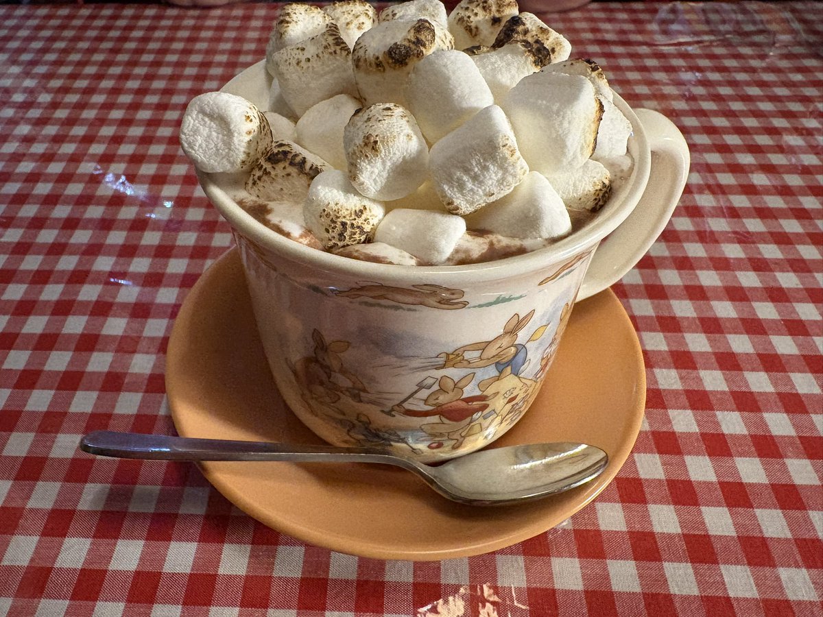 ドイツコーヒー夢 さんにて、ウインナーコーヒーとココア。
連れと来ていましたが、二人して大満足！素人のわたしにも、こだわりが伝わりました！
近くに来た際には、また寄りたいです☕️