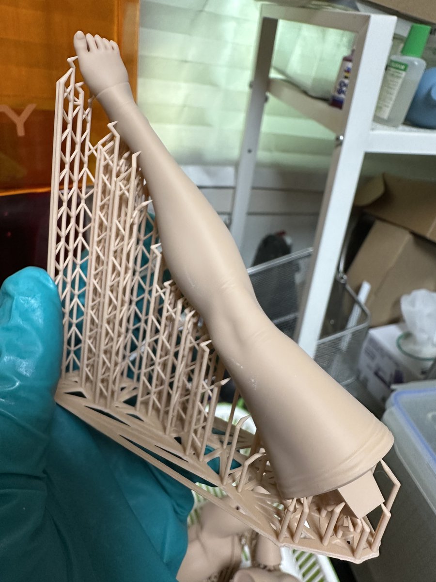 ポリゴ🦋 tweet media