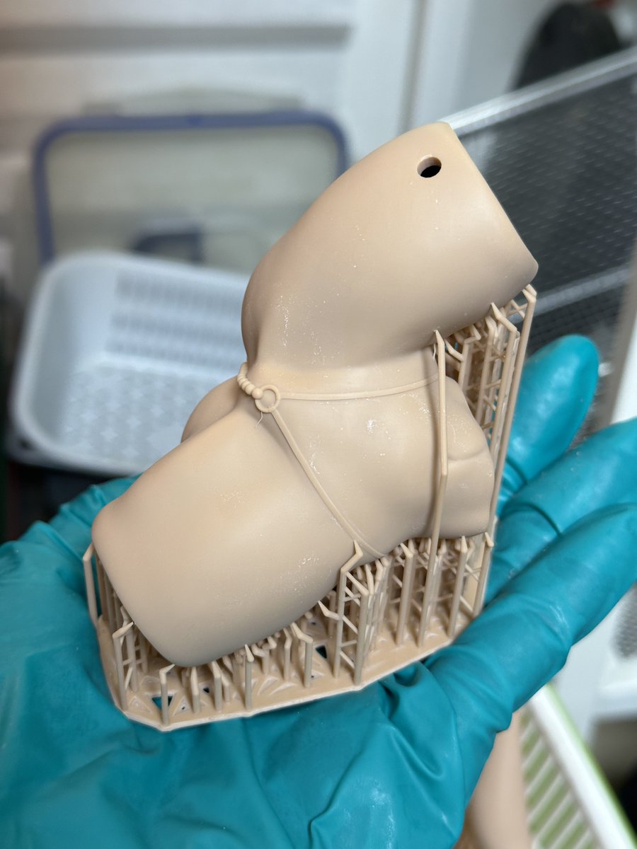 ポリゴ🦋 tweet media