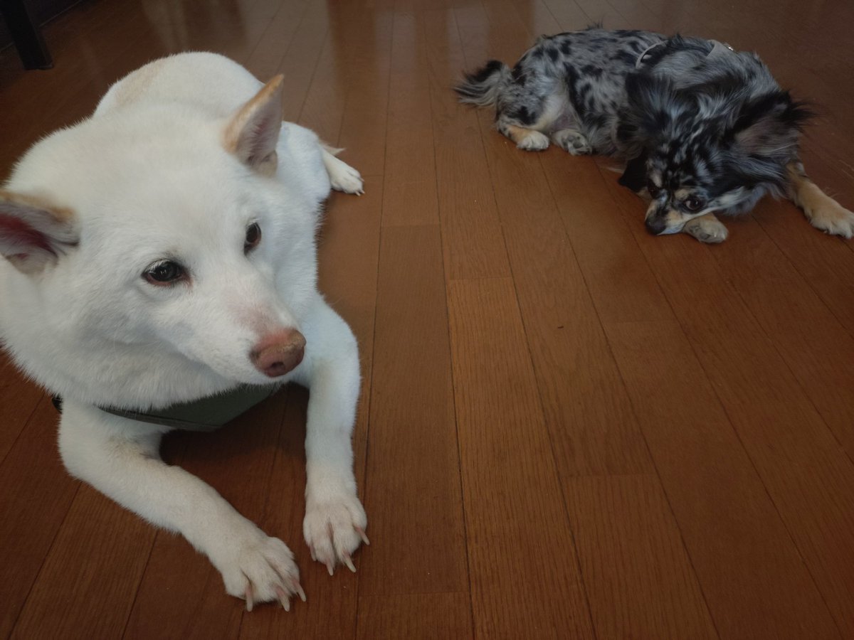 村川康敏 tweet media