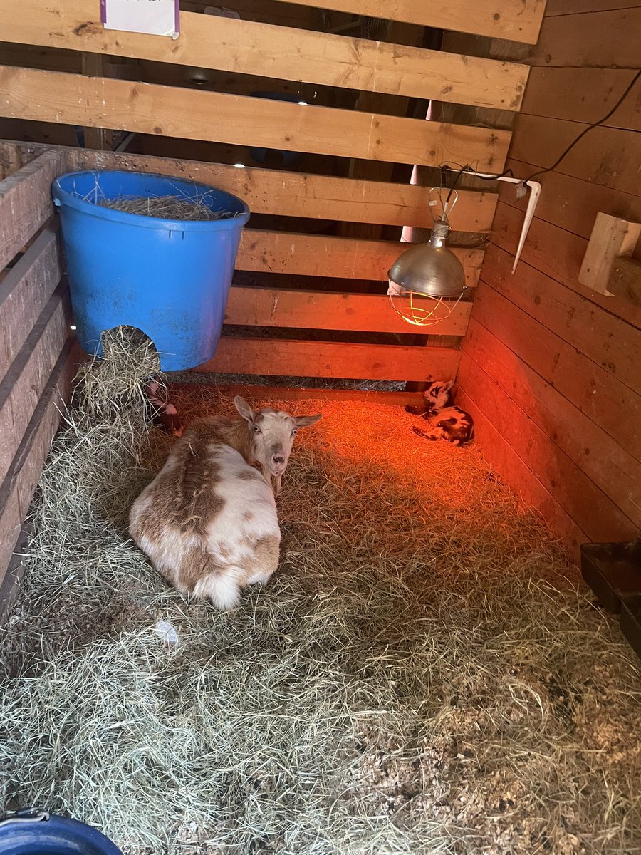 Lisa A Pierce tweet media