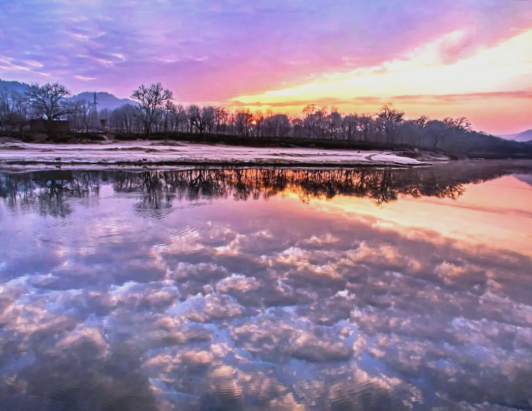 pierluigi tweet media