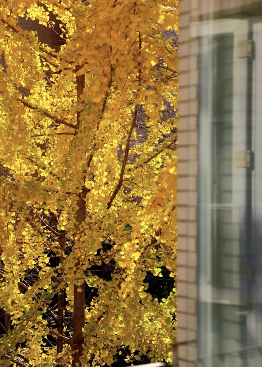 GoodLOOKSROCKS tweet media